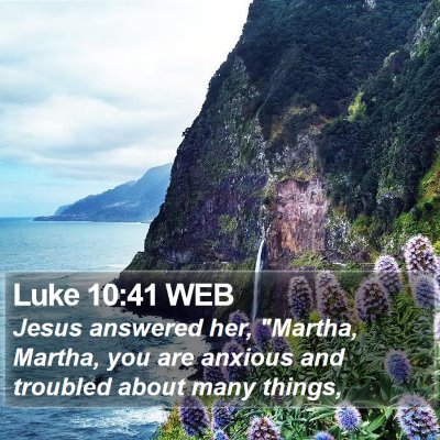 Luke 10:41 WEB Bible Verse Image