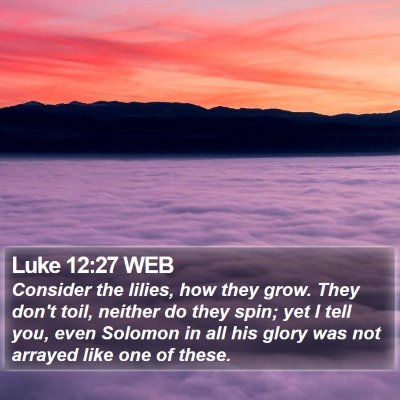 Luke 12:27 WEB Bible Verse Image