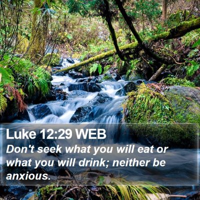 Luke 12:29 WEB Bible Verse Image