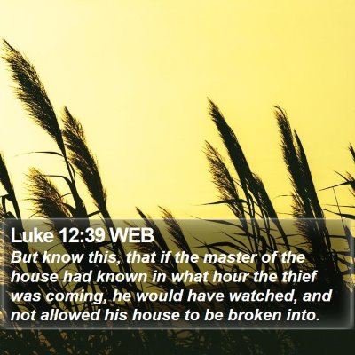 Luke 12:39 WEB Bible Verse Image