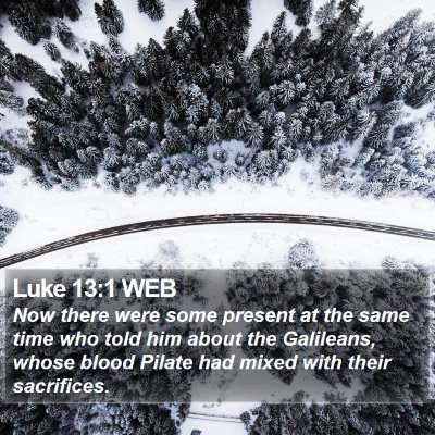 Luke 13:1 WEB Bible Verse Image