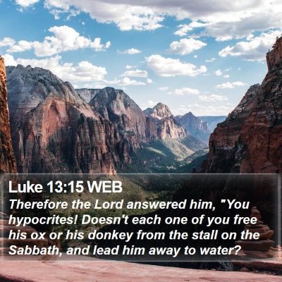 Luke 13:15 WEB Bible Verse Image