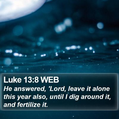 Luke 13:8 WEB Bible Verse Image