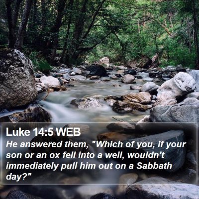 Luke 14:5 WEB Bible Verse Image