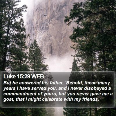 Luke 15:29 WEB Bible Verse Image