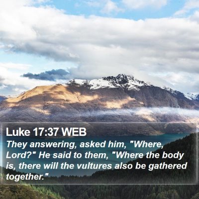Luke 17:37 WEB Bible Verse Image