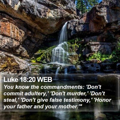 Luke 18:20 WEB Bible Verse Image