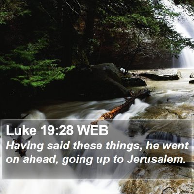 Luke 19:28 WEB Bible Verse Image