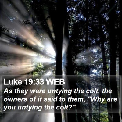Luke 19:33 WEB Bible Verse Image