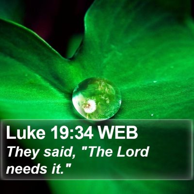 Luke 19:34 WEB Bible Verse Image