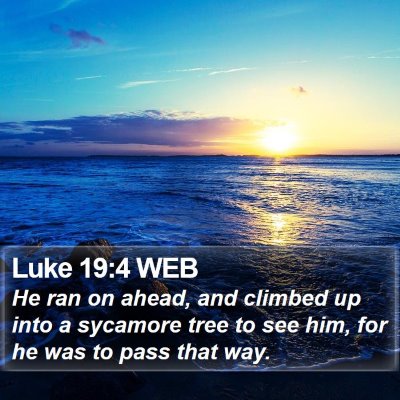 Luke 19:4 WEB Bible Verse Image