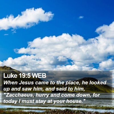Luke 19:5 WEB Bible Verse Image
