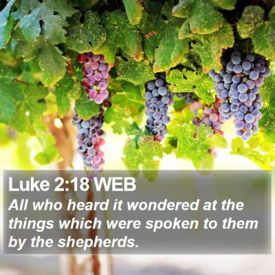Luke 2:18 WEB Bible Verse Image
