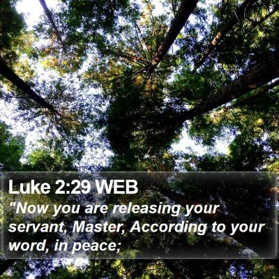 Luke 2:29 WEB Bible Verse Image