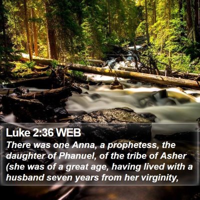 Luke 2:36 WEB Bible Verse Image