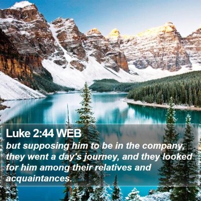 Luke 2:44 WEB Bible Verse Image