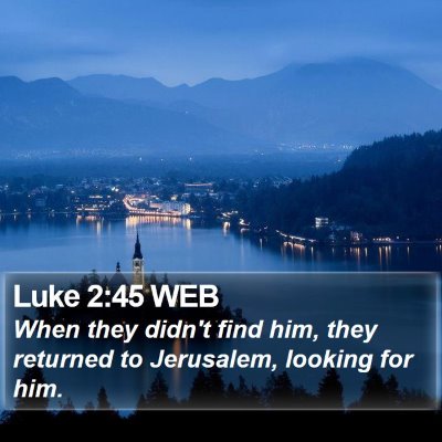Luke 2:45 WEB Bible Verse Image