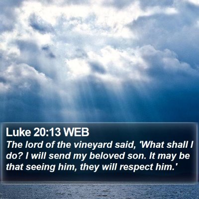 Luke 20:13 WEB Bible Verse Image