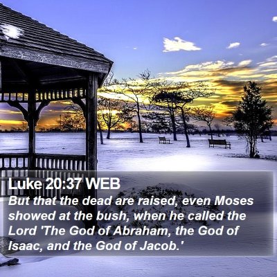 Luke 20:37 WEB Bible Verse Image