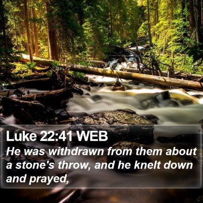 Luke 22:41 WEB Bible Verse Image