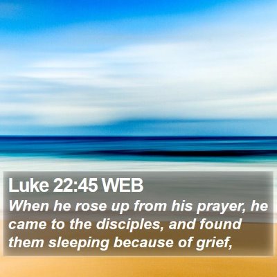 Luke 22:45 WEB Bible Verse Image