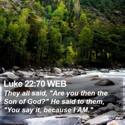 Luke 22:70 WEB Bible Verse Image