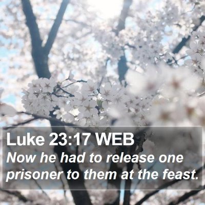 Luke 23:17 WEB Bible Verse Image