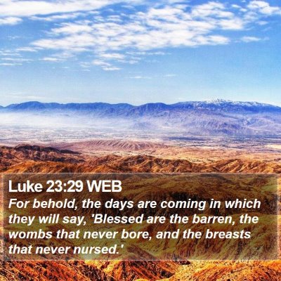 Luke 23:29 WEB Bible Verse Image