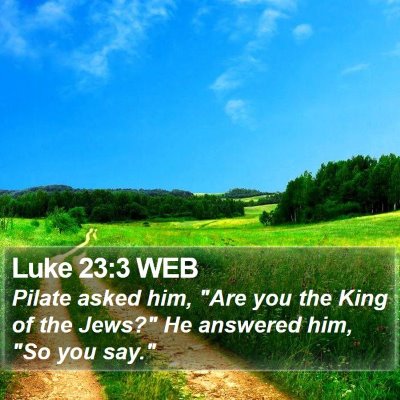 Luke 23:3 WEB Bible Verse Image