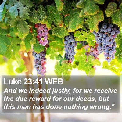 Luke 23:41 WEB Bible Verse Image