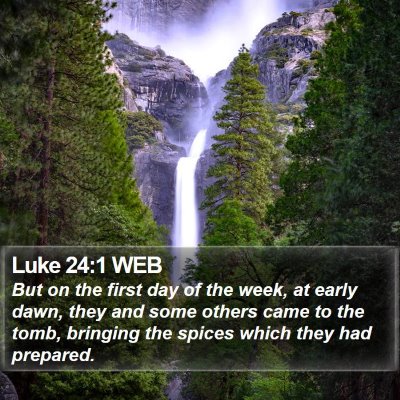 Luke 24:1 WEB Bible Verse Image