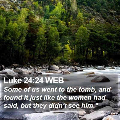 Luke 24:24 WEB Bible Verse Image