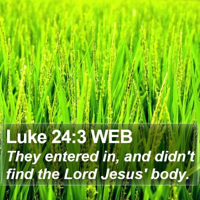 Luke 24:3 WEB Bible Verse Image
