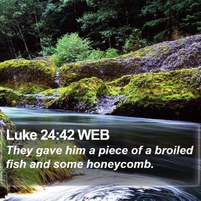 Luke 24:42 WEB Bible Verse Image