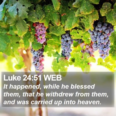 Luke 24:51 WEB Bible Verse Image
