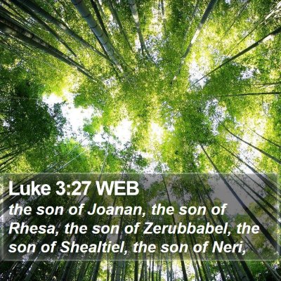 Luke 3:27 WEB Bible Verse Image