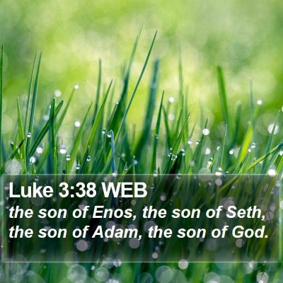 Luke 3:38 WEB Bible Verse Image