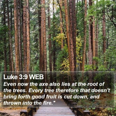 Luke 3:9 WEB Bible Verse Image