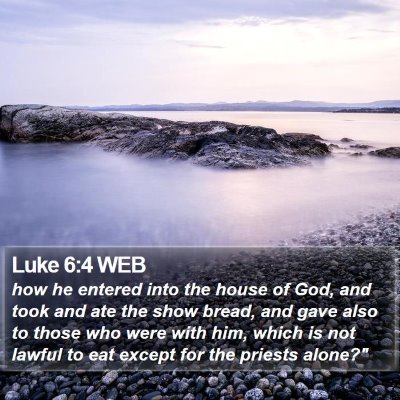 Luke 6:4 WEB Bible Verse Image