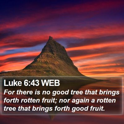 Luke 6:43 WEB Bible Verse Image