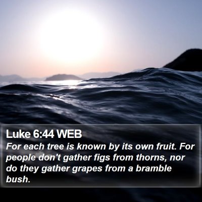 Luke 6:44 WEB Bible Verse Image