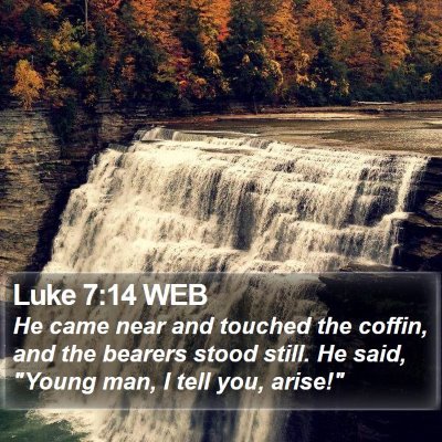 Luke 7:14 WEB Bible Verse Image