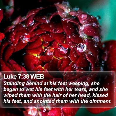 Luke 7:38 WEB Bible Verse Image