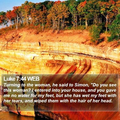 Luke 7:44 WEB Bible Verse Image