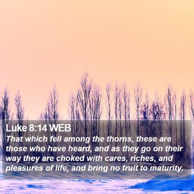 Luke 8:14 WEB Bible Verse Image