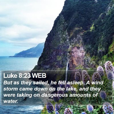 Luke 8:23 WEB Bible Verse Image