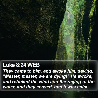Luke 8:24 WEB Bible Verse Image