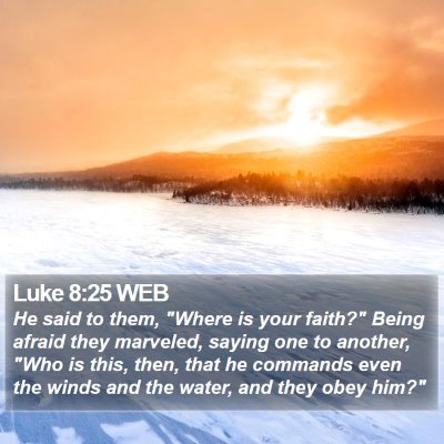 Luke 8:25 WEB Bible Verse Image