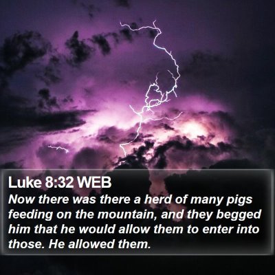 Luke 8:32 WEB Bible Verse Image