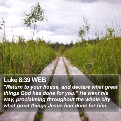 Luke 8:39 WEB Bible Verse Image